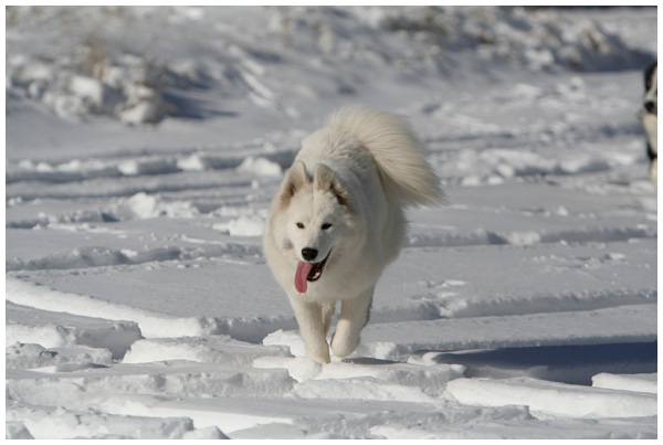 Ca y est ! Elle a vu la neige !!! 8