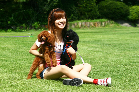 [PIC][21.12.011] ]Sunny chụp hình cũng những chú chó Sunny-dog-3