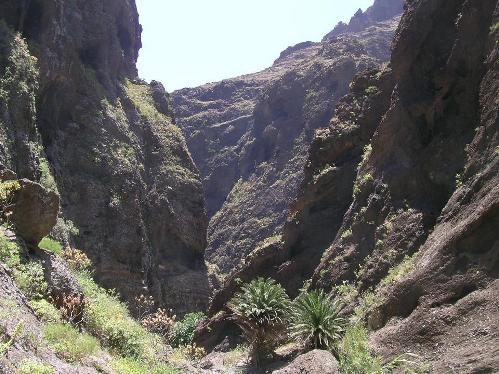 ¿Que le darías al usuario anterior? Barranco-masca