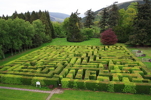 Laberinto (Jardin) Jardines-de-traquair