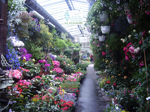 Mercados de flores Mercado-de-las-flores