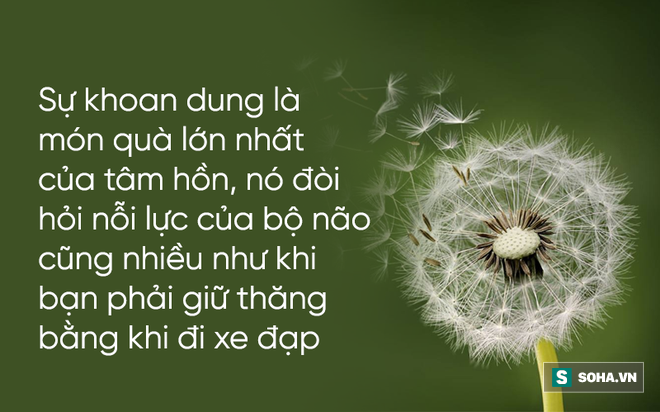 Những thứ này, chỉ cần buông bỏ sẽ được nhiều hơn mất: Hãy xem bạn đã bỏ được thứ gì! 4-1506678606069-1506678623219