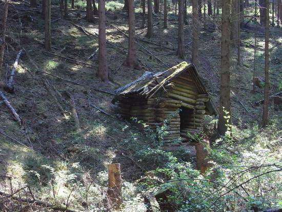 Verfallene Hütte am Berg Blockhuette