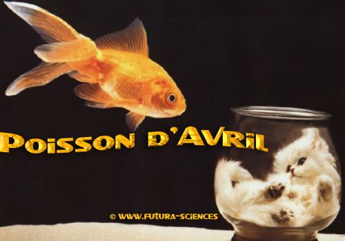 Nouvelle crevettes "CBB" [poisson d'avril 2008] Poissonavril