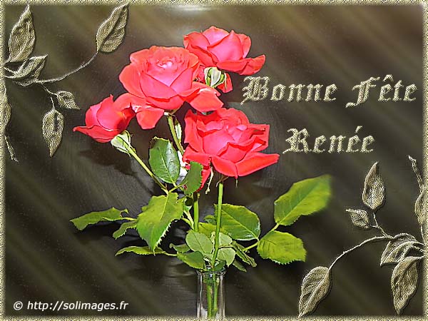 Bon Mercredi Renee_2