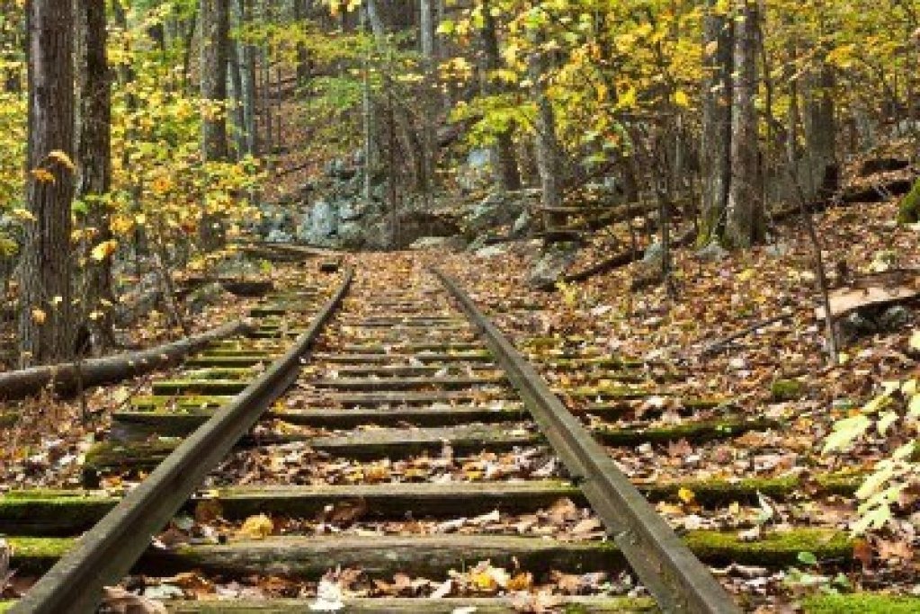 இந்தியக் கவிதை -ஆருத்ரா (தெலுங்கு) - Page 2 11999060-railroad-tracks-through-autumn-foliage-horizontal-1024x683