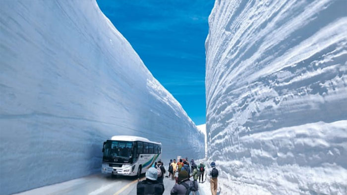 Độc đáo con đường xuyên qua lớp tuyết cao hàng chục mét tại Nhật Bản Con-duong-trong-tuyet-3