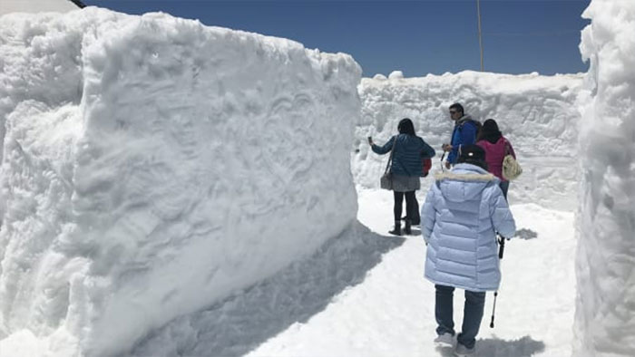 Độc đáo con đường xuyên qua lớp tuyết cao hàng chục mét tại Nhật Bản Con-duong-trong-tuyet-8