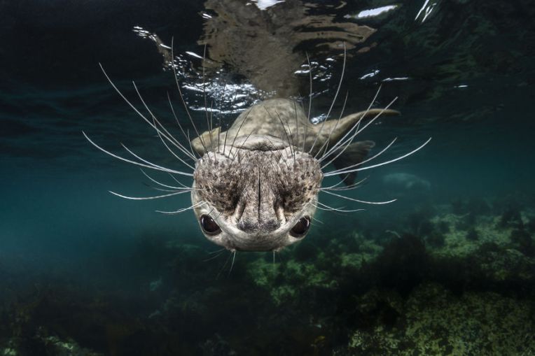 Các tác phẩm xuất sắc tại Sony World Photography Awards 2019 khiến người xem xúc động Sony-world-photography-awards-2019-14