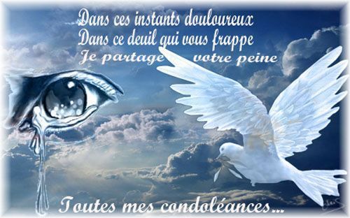 BONJOUR A TOUS - Page 20 8a3fnkwq