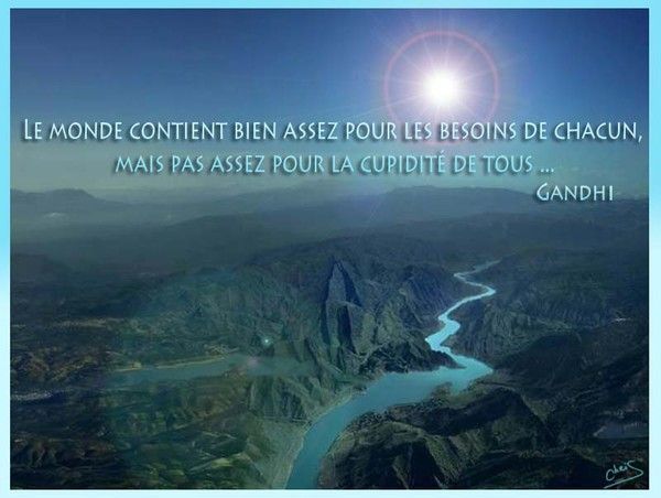 citations - Des citations... juste pour se faire du bien  D5548990