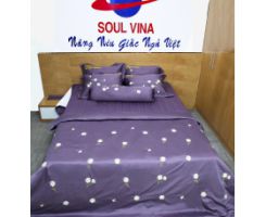 Soul Vina - Chuyên sản xuất: Chăn, ga, gối, mành, rèm - Page 2 471574881415_215.96342702337x270