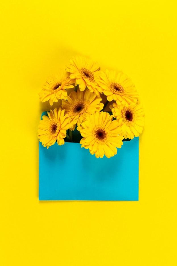 بستان ورد المصــــــــراوية - صفحة 57 Yellow-flowers-on-a-yellow-table-with-a-blue-board_1309-65-623x935