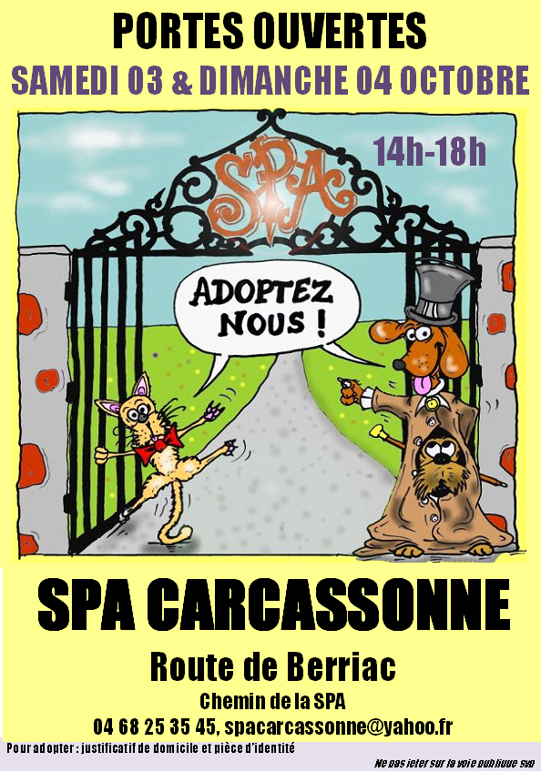 CURACAO - x berger australien 6 ans - SOURD -  Spa de Carcassonne (11) Aaaapo