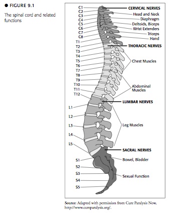 Death and you, a guide to the workplace. Figure91