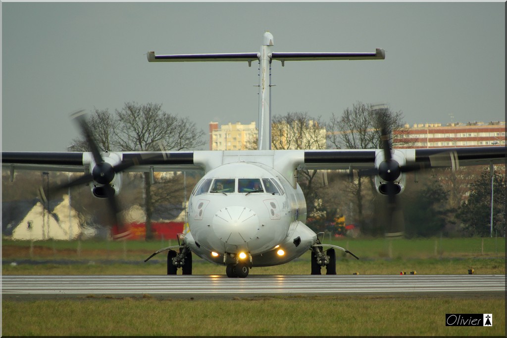 Spotting du 21 janvier, après-midi IMGP7268