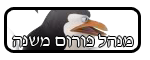   מנהל משנה  