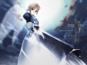 (Galeria)  fate stay night Fsn48mini