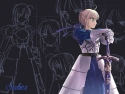 (Galeria)  fate stay night Fsn50mini