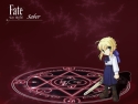 (Galeria)  fate stay night Fsn52mini