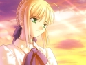 (Galeria)  fate stay night Fsn68mini