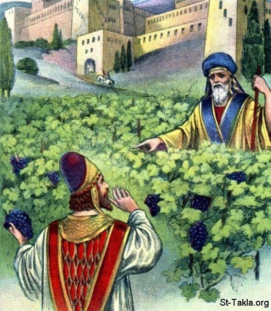  أَخْآب ملك إسرائيل Www-St-Takla-org--Ahab-and-Naboth-Vineyard-01