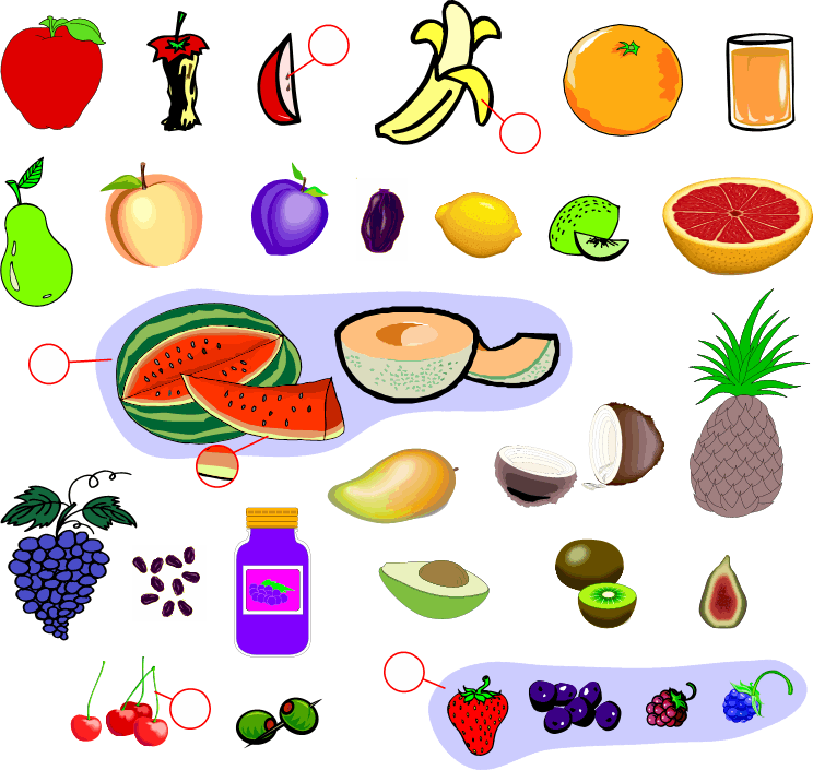 Learn English Language   الفهرس Index 4 Fruit_padded