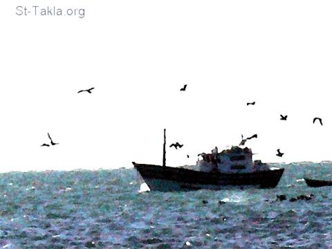 قصّة تعلّم واشبع  St-Takla-org___Fishing-Birds