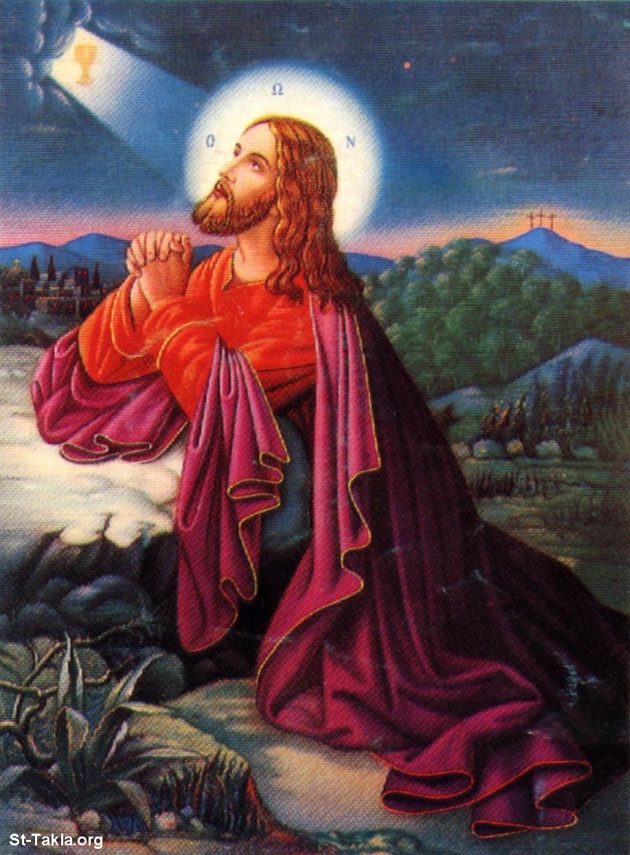 الرب يسوع المسيح هو مثلنا الأعلى في الصلاة والتسبيح 1 Www-St-Takla-org___Jesus-Praying-in-Gethsemane-Garden-06