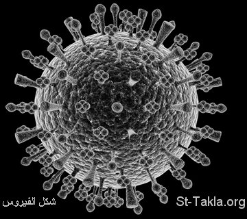 انفلوانزا الخنازير...تطلق صفارة الانذار St-Takla.org____Bird-Flu-Virus