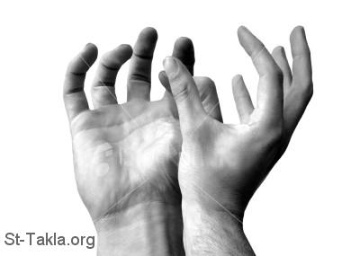 قصة خلاف بين أصابع اليد _ الكبرياء - التواضع - التعاون St-Takla-org___Hands-Fingers