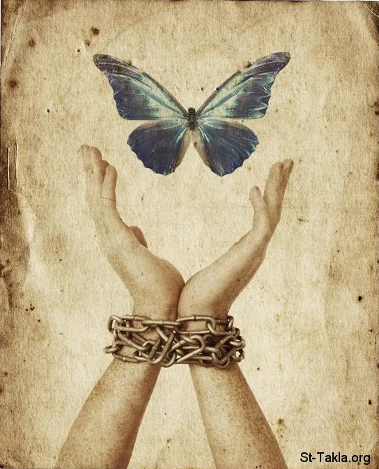 حالتك النفسية  بصورة - صفحة 10 Www-St-Takla-org___Freedom-Hand-Butterfly-01