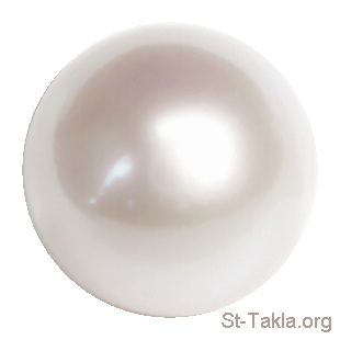 هل أنتِ وردة أم لؤلؤة ؟!! Www-St-Takla-org___White-Big-Pearl