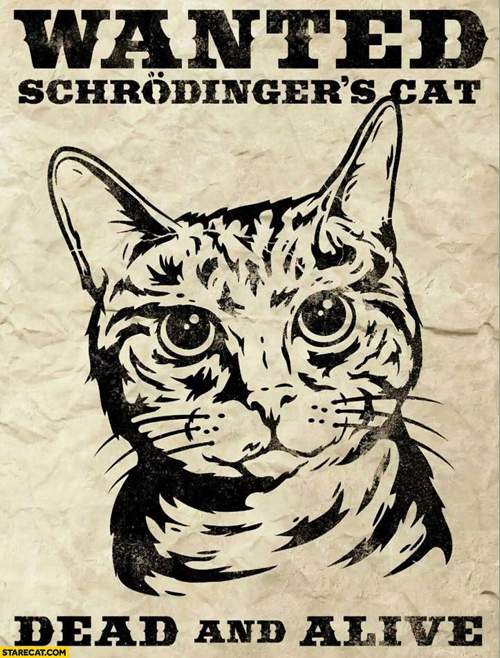 Humor en imagen - Página 2 Wanted-schrodingers-cat-dead-and-alive