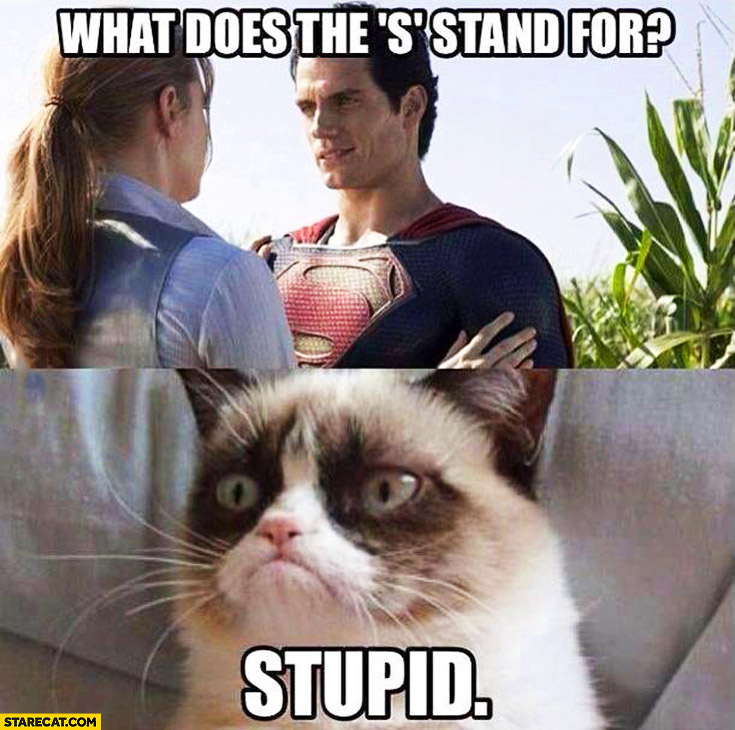 Evo zašto Jergovića treba zatuć lopatom - Page 5 What-does-the-s-stand-for-superman-stupid-grumpy-cat