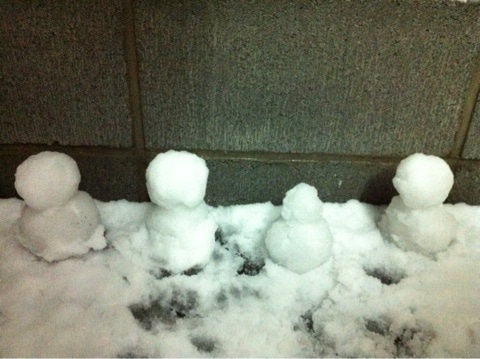 Snow - 2012-01-24 (TOMOMI) O0480035911752264997