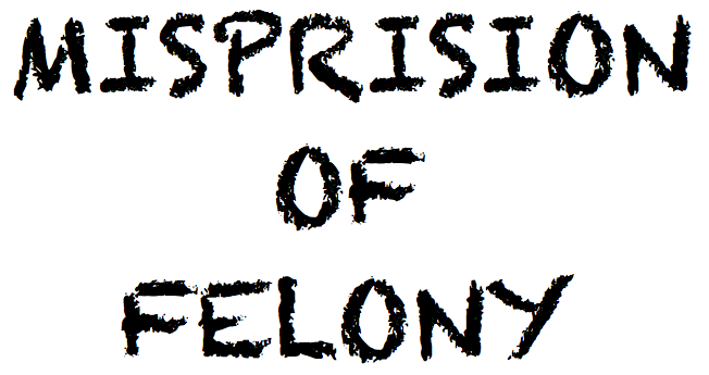 Will VP Mike Pence commit the crime of MISPRISION OF FELONY on January 6th?! Screen-Shot-2020-12-25-at-6.05.02-AM