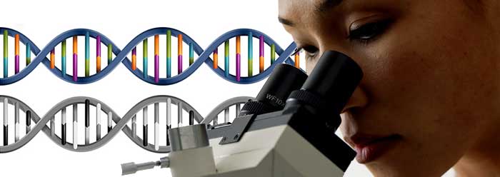 Duones: El código genético paralelo desafía a la evolución Duons_parallel_gene_wide