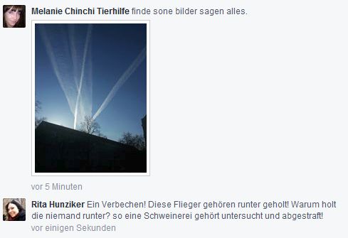 Öffentliche Drohungen der Chemtrailgläubigen / Anstiftung zu Straftaten 8a2b81_fb_rita_luegen5