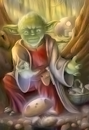  La famille YODA !! Big_photo_207701_9066165_2011081009292796