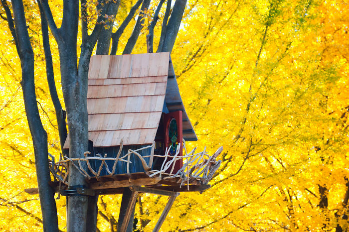 Những ngôi nhà cây đẹp nhất thế giới Post-The-Most-Beautiful-Treehouses-From-All-Over-The-World4__700