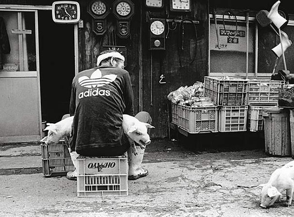 Qué bello es vivir Otchan-cute-pig-farmer-toshiteru-yamaji-10