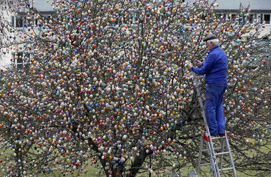 OSTERN IN DEUTSCHLAND Most-beautiful-Easter-tree.-Decorated-with-10000-eggs.-__880