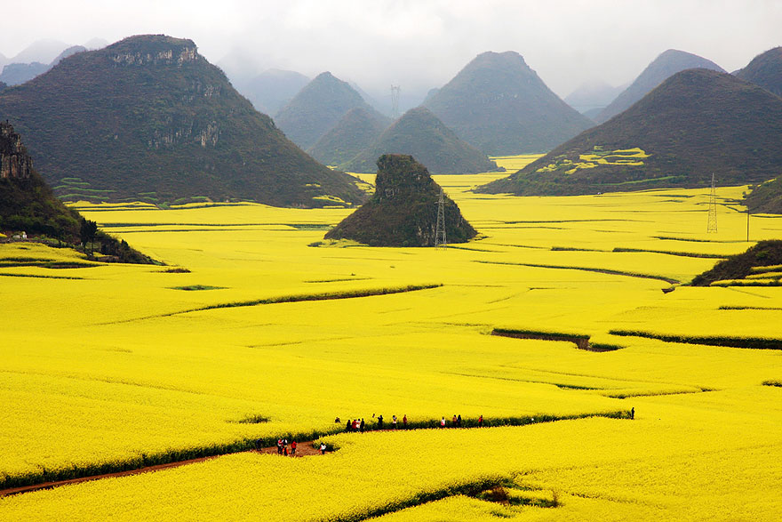 Lugares de la Tierra que parecen de otro planeta Canola-Flower-Field-China__880