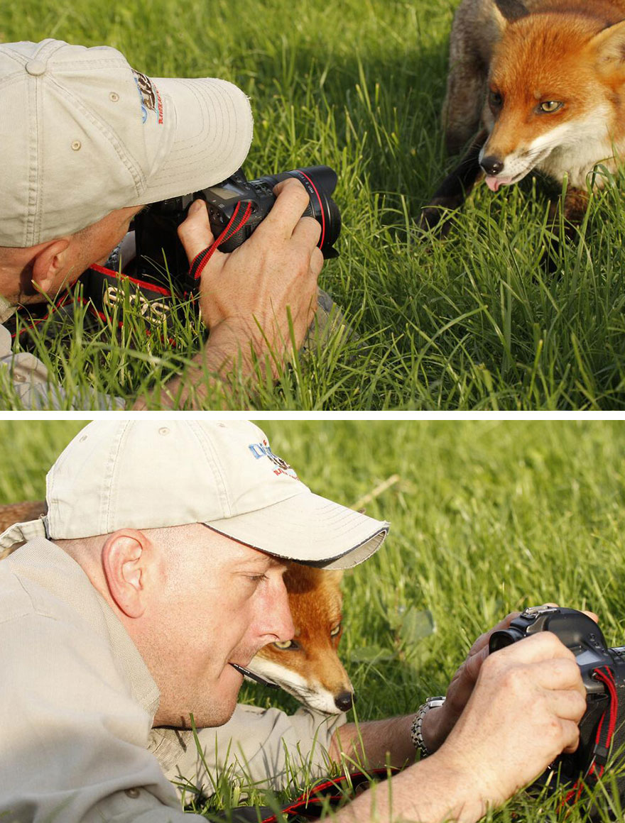 Riscurile meseriei  Animals-with-camera-helping-photographers-31__880