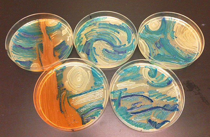 Vuestras obras favoritas - Página 2 Microbe-art-petri-dish-agar-contest-van-gogh-starry-night-american-society-microbiologists-43