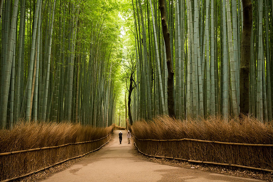 15 lý do khiến bạn muốn đi Nhật ngay lập tức Amazing-places-japan-20-57512c52c845a__880