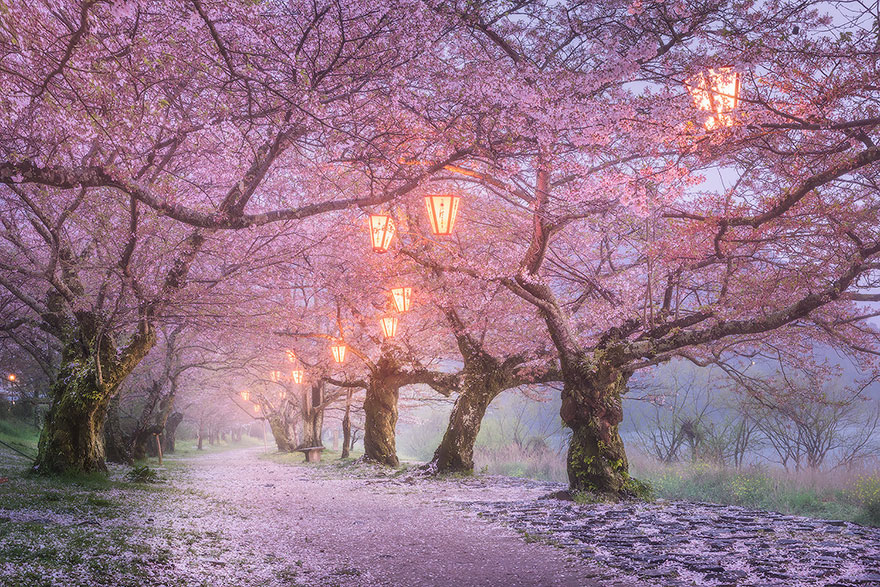 15 lý do khiến bạn muốn đi Nhật ngay lập tức Amazing-places-japan-23-57512c59d504f__880