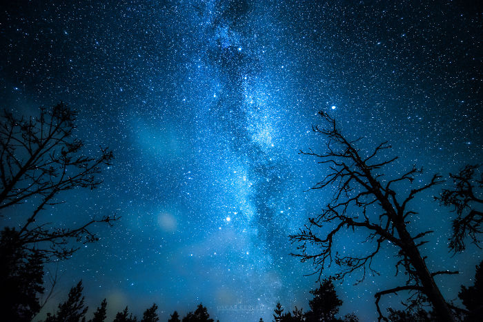 Depuis plus de deux ans, ce photographe immortalise la beauté du ciel étoilé finlandais ! Par Corentin Galactic-forest-7-584e79c1af3d9__700