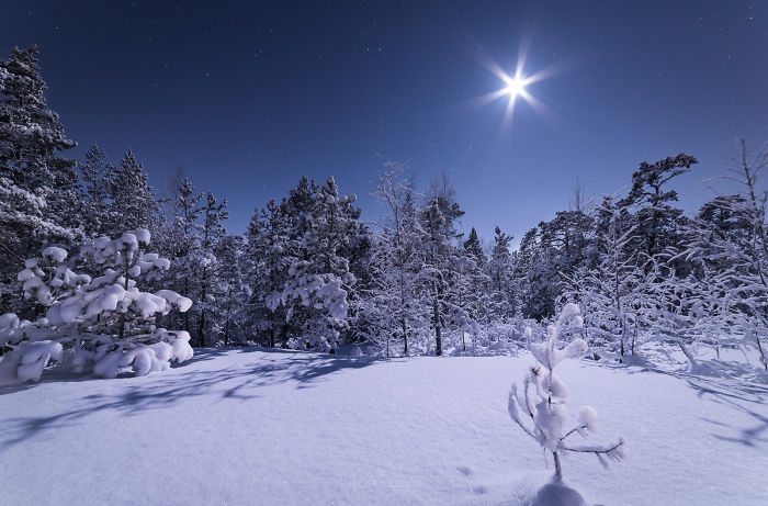 Depuis plus de deux ans, ce photographe immortalise la beauté du ciel étoilé finlandais ! Par Corentin Winter-moonlight-kirkkonummi-2-1-584e79e1c6631__700